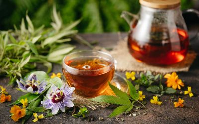 Tisana Depurativa: benefici, uso e guida al benessere di intestino e fegato